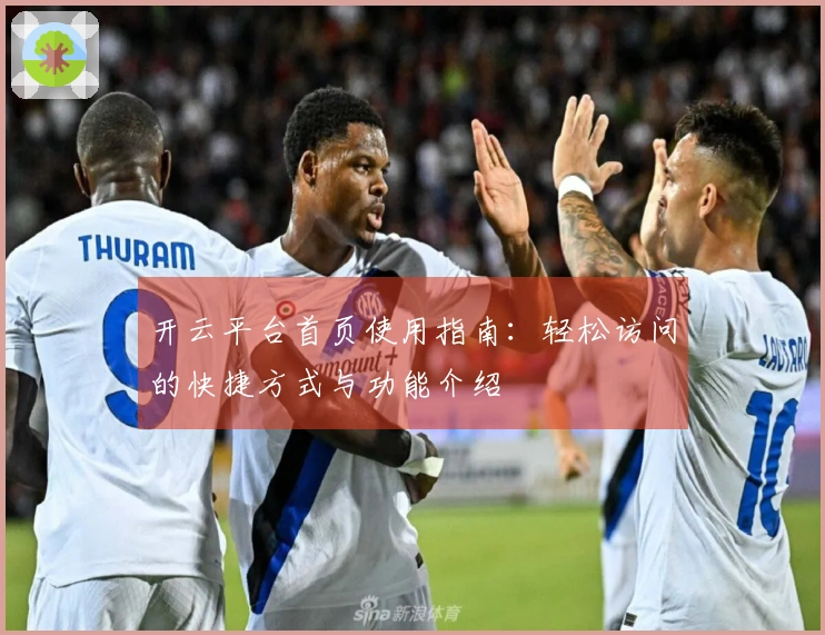 开云平台首页使用指南：轻松访问的快捷方式与功能介绍